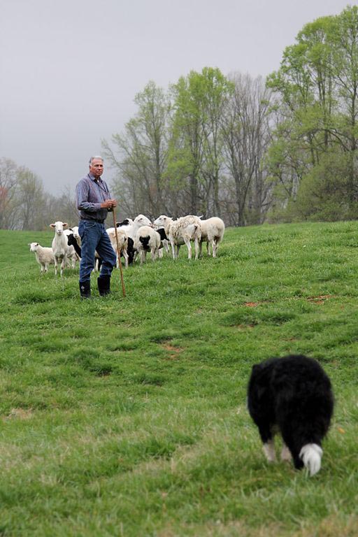 Bailey's Theory Book